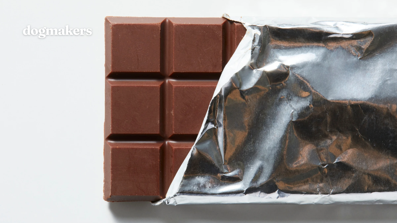 dog eating chocolate