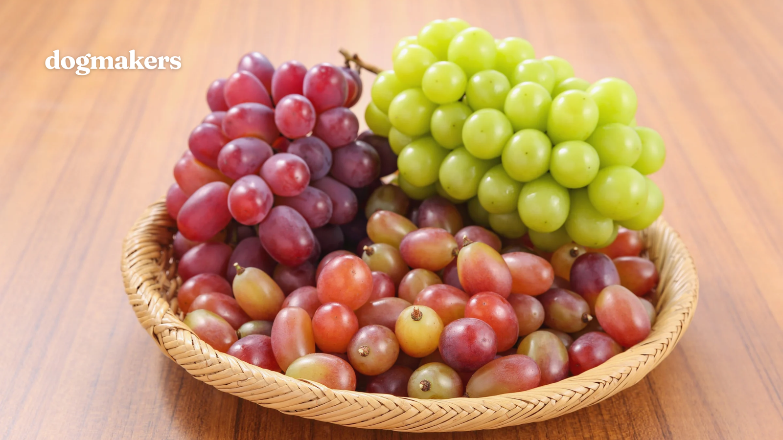 Can dog eat grapes red green in the basket for eating